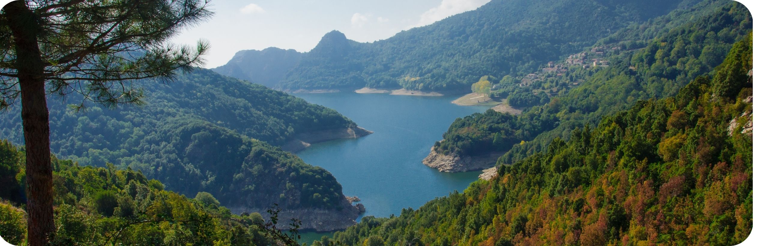 Conciergerie Prunelli